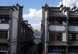园博花鸟图片