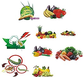 農作物 矢量圖 蘿卜