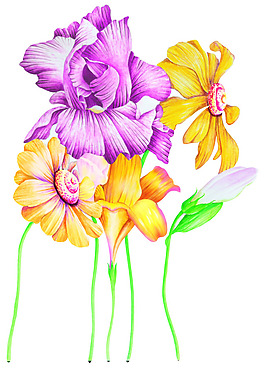 PS設(shè)計(jì)花朵精美分層圖