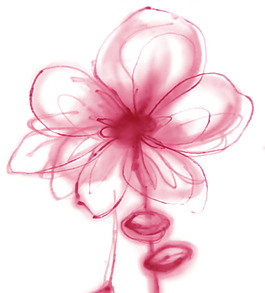 ps設(shè)計(jì)花圖分層圖片