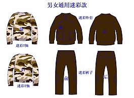 整體