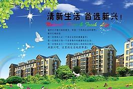 房地產(chǎn)宣傳單圖片
