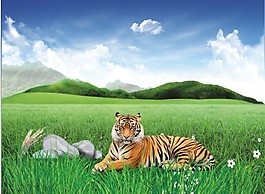 老虎矢量素材