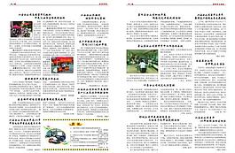 聯(lián)通月報圖片