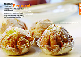 內頁版式設計PSD源文件