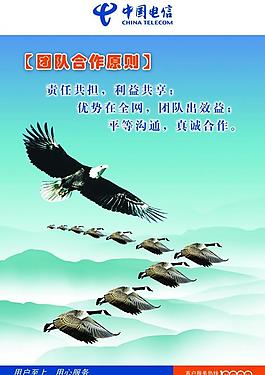 電信標(biāo)語(yǔ)圖圖片
