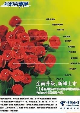 中国电信114号码百事通形象广告玫瑰花篇图片