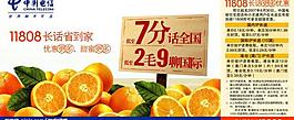 11808橙子篇圖片