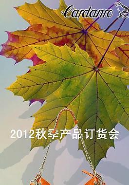 時尚女包圖片