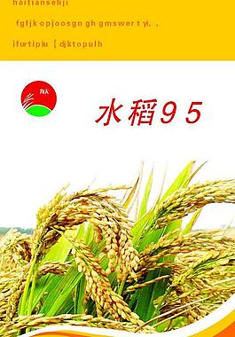 水稻95包裝圖片