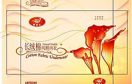 內(nèi)衣封面圖片