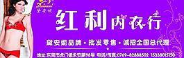 內(nèi)衣廣告圖片