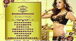 內(nèi)衣公告圖片