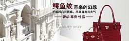 鳄鱼纹网站banner图片
