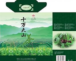 茶包裝 綠茶圖片