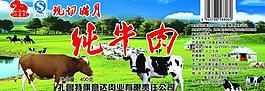 包裝不干膠圖片