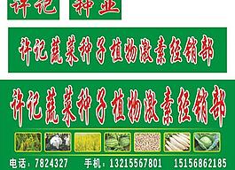 許記蔬菜圖片
