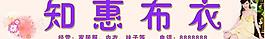 知惠布衣圖片