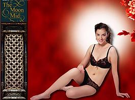 夢(mèng)佳人圖片