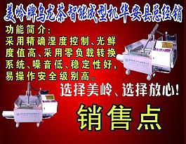 美玲牌烏龍茶圖片