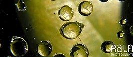 水纹效果