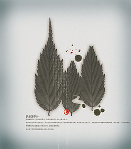 中國風(fēng)PSD樹葉家族