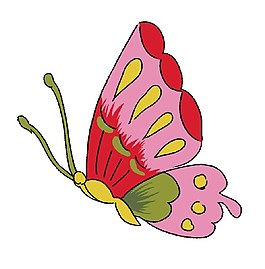 蝴蝶