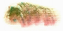 中國(guó)風(fēng)水墨元素