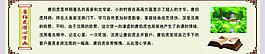 勵志故事圖片