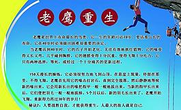 老鷹重生 勵志篇圖片