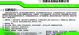 招聘简章图片
