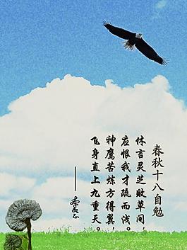原創詩配圖圖片