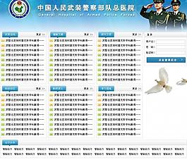武警总医院方案2首页设计图片
