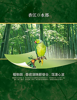 中國風(fēng)PSD分層素材鸚鵡