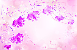 菊花 玫瑰  百合