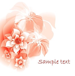 粉色花紋文本背景矢量素材
