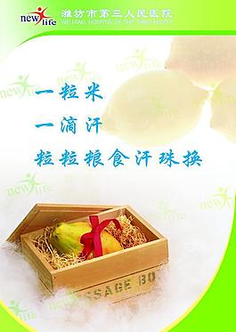 節(jié)約糧食看板圖片
