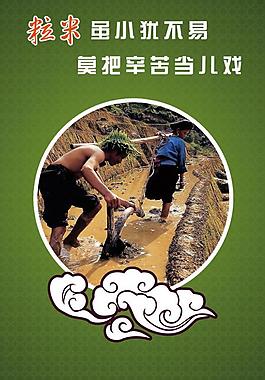 節(jié)約糧食圖片