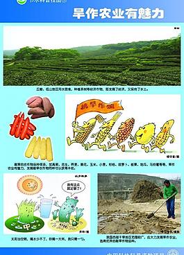 節約用水圖片