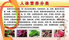 人體營(yíng)養(yǎng)展板圖片