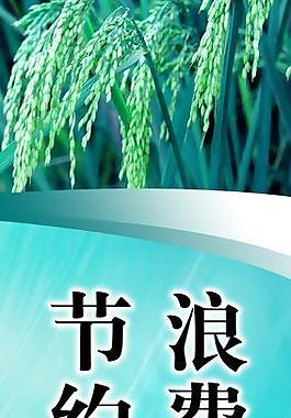 報(bào)版圖片