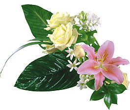 花朵素材