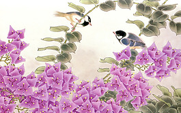 雞冠花