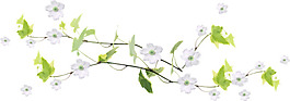 花朵素材