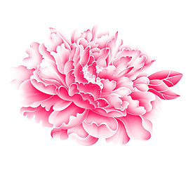 花朵PSD分層素材