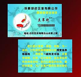 觀賞魚名片圖片