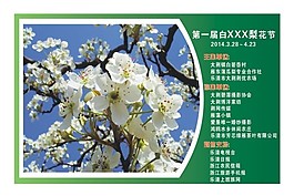 清雅梨花節(jié)宣傳