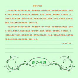 春天藤蔓信紙