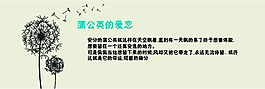 蒲公英
