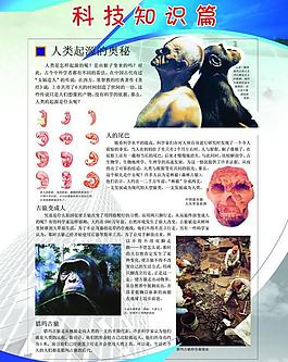 學校制度圖片